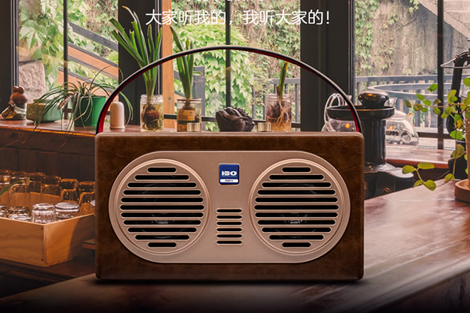 如何看待双DSP处理器派对音箱